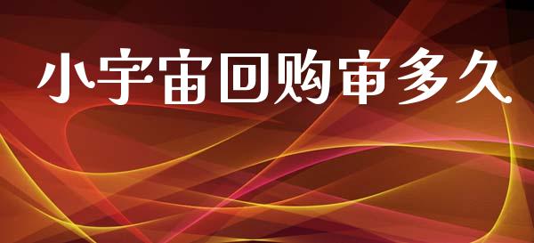 小宇宙回购审多久_https://m.apzhendong.com_财经资讯_第1张