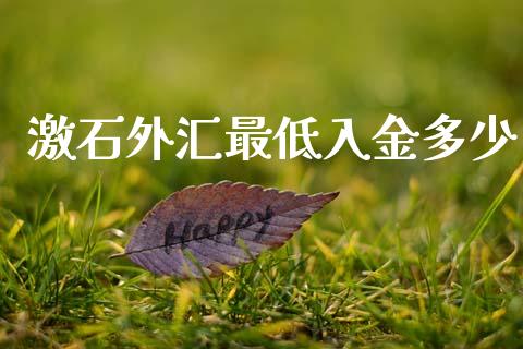 激石外汇最低入金多少_https://m.apzhendong.com_期货行情_第1张