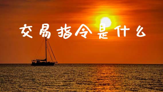 交易指令是什么_https://m.apzhendong.com_财经资讯_第1张