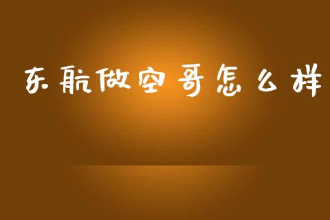 东航做空哥怎么样_https://m.apzhendong.com_期货行情_第1张