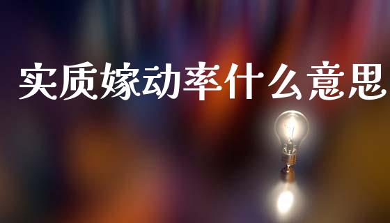实质嫁动率什么意思_https://m.apzhendong.com_财务分析_第1张