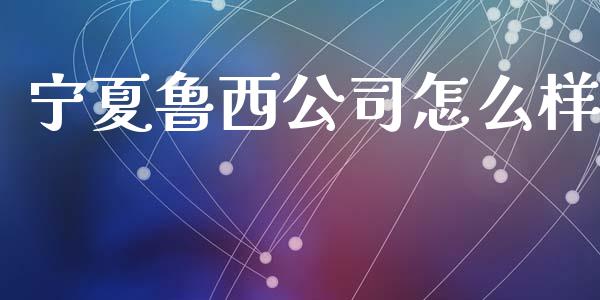 宁夏鲁西公司怎么样_https://m.apzhendong.com_财经资讯_第1张