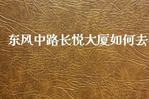 东风中路长悦大厦如何去_https://m.apzhendong.com_财务分析_第1张