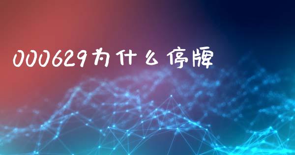 000629为什么停牌_https://m.apzhendong.com_财务分析_第1张