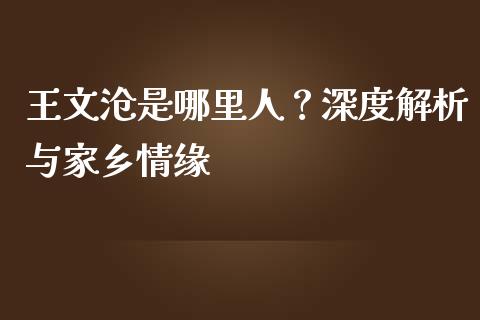王文沧是哪里人？深度解析与家乡情缘_https://m.apzhendong.com_财务分析_第1张
