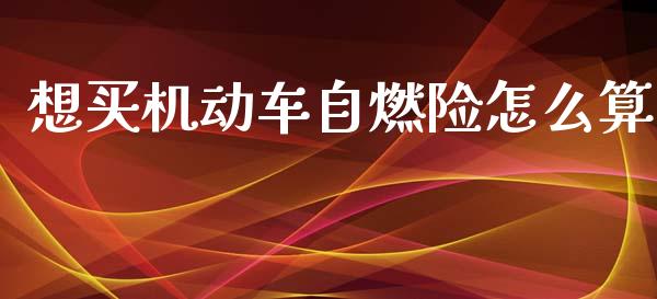 想买机动车自燃险怎么算_https://m.apzhendong.com_财务分析_第1张