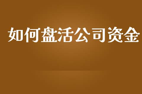 如何盘活公司资金_https://m.apzhendong.com_财务分析_第1张