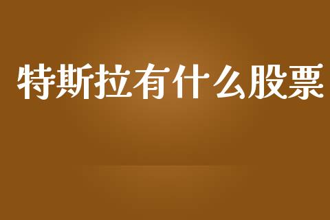 特斯拉有什么股票_https://m.apzhendong.com_财务分析_第1张