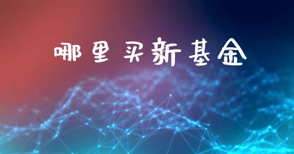 哪里买新基金_https://m.apzhendong.com_财务分析_第1张