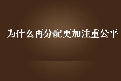 为什么再分配更加注重公平_https://m.apzhendong.com_财务分析_第1张