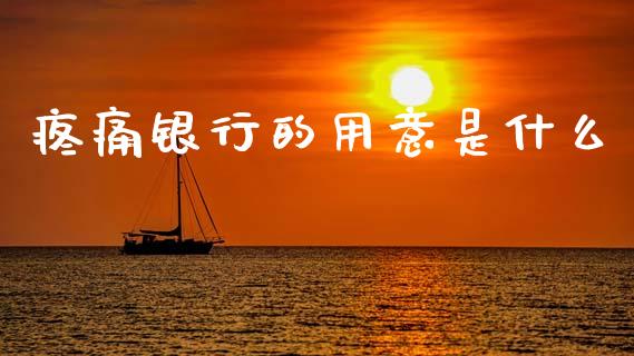 疼痛银行的用意是什么_https://m.apzhendong.com_财务分析_第1张