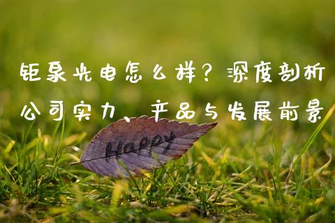 钜泉光电怎么样？深度剖析公司实力、产品与发展前景_https://m.apzhendong.com_财经资讯_第1张