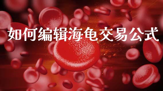 如何编辑海龟交易公式_https://m.apzhendong.com_期货行情_第1张