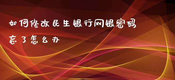 如何修改民生银行网银密码忘了怎么办_https://m.apzhendong.com_财经资讯_第1张