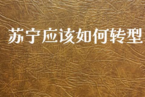 苏宁应该如何转型_https://m.apzhendong.com_全球经济_第1张