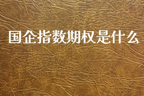国企指数期权是什么_https://m.apzhendong.com_全球经济_第1张