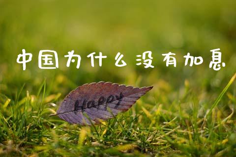 中国为什么没有加息_https://m.apzhendong.com_全球经济_第1张