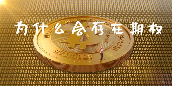 为什么会存在期权_https://m.apzhendong.com_财务分析_第1张
