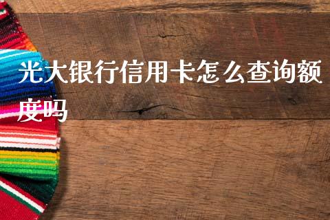 光大银行信用卡怎么查询额度吗_https://m.apzhendong.com_财务分析_第1张