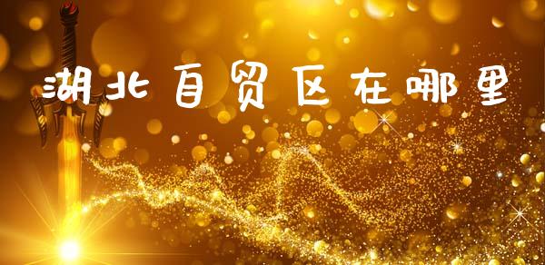 湖北自贸区在哪里_https://m.apzhendong.com_财务分析_第1张