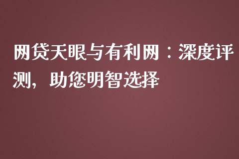 网贷天眼与有利网：深度评测，助您明智选择_https://m.apzhendong.com_财务分析_第1张