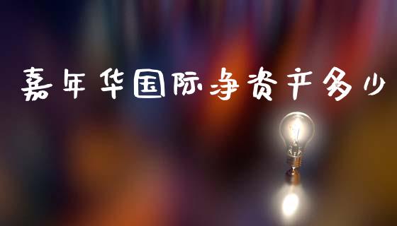 嘉年华国际净资产多少_https://m.apzhendong.com_全球经济_第1张