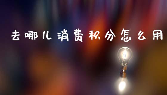 去哪儿消费积分怎么用_https://m.apzhendong.com_财务分析_第1张