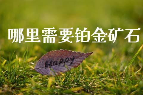 哪里需要铂金矿石_https://m.apzhendong.com_财经资讯_第1张