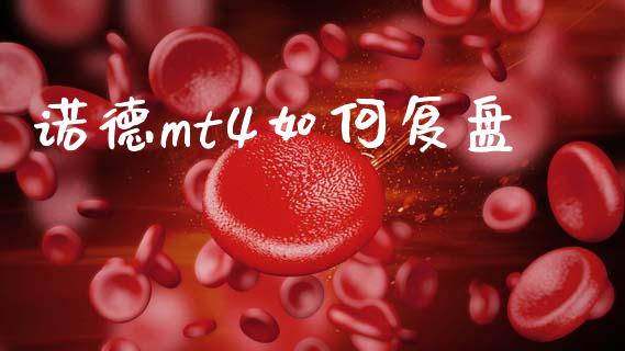 诺德mt4如何复盘_https://m.apzhendong.com_财务分析_第1张