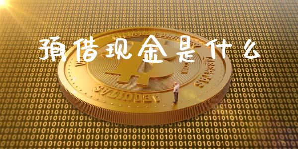 预借现金是什么_https://m.apzhendong.com_全球经济_第1张