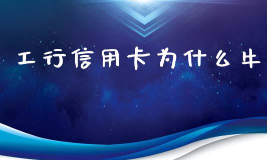 工行信用卡为什么牛_https://m.apzhendong.com_财经资讯_第1张